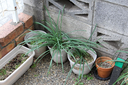 f:id:takahikonojima:20190216173324j:plain