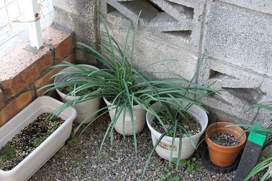 f:id:takahikonojima:20190216173343j:plain