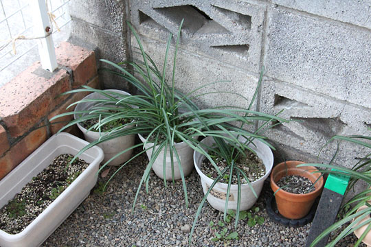 f:id:takahikonojima:20190223150511j:plain