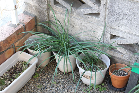 f:id:takahikonojima:20190223150530j:plain