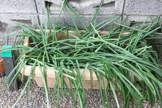 f:id:takahikonojima:20190223150550j:plain