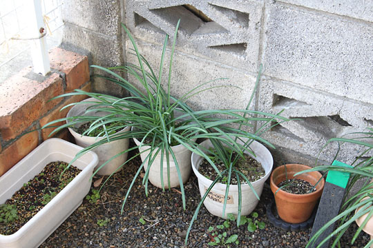 f:id:takahikonojima:20190223150555j:plain