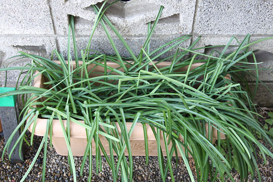 f:id:takahikonojima:20190223150606j:plain