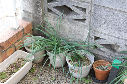 f:id:takahikonojima:20190223150625j:plain