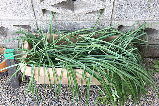 f:id:takahikonojima:20190305170346j:plain