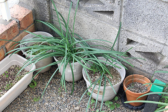 f:id:takahikonojima:20190305170352j:plain