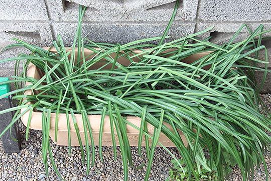 f:id:takahikonojima:20190305170359j:plain