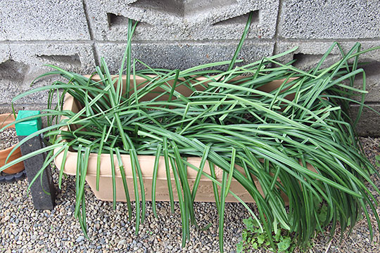 f:id:takahikonojima:20190305170425j:plain