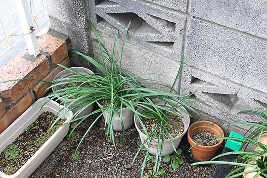 f:id:takahikonojima:20190305170431j:plain