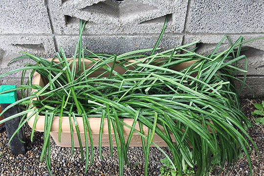 f:id:takahikonojima:20190305170546j:plain