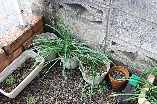 f:id:takahikonojima:20190305170558j:plain