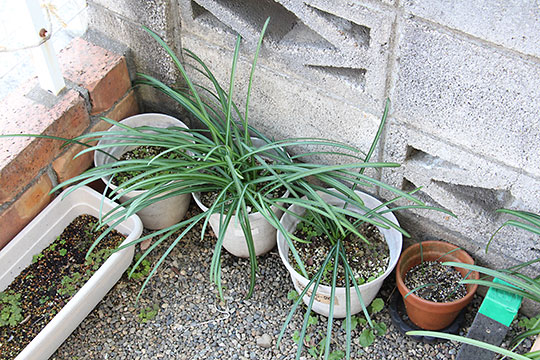 f:id:takahikonojima:20190305170627j:plain