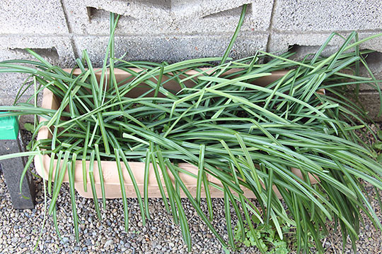 f:id:takahikonojima:20190305170641j:plain