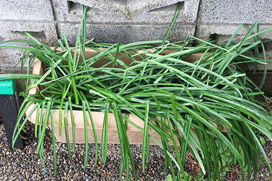 f:id:takahikonojima:20190317153338j:plain