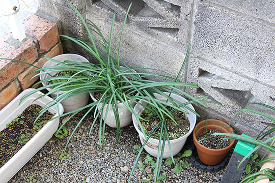 f:id:takahikonojima:20190317153400j:plain