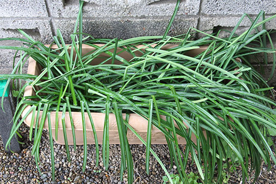 f:id:takahikonojima:20190317153423j:plain