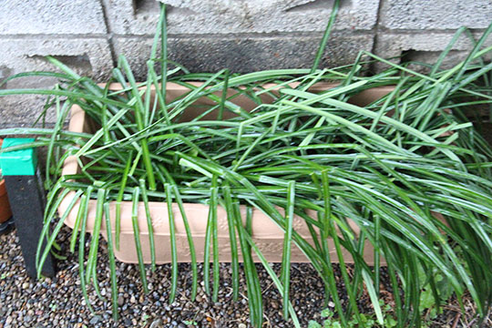 f:id:takahikonojima:20190317153444j:plain