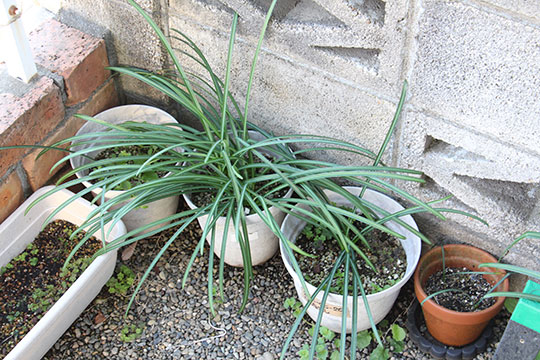 f:id:takahikonojima:20190317153454j:plain