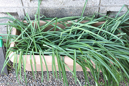 f:id:takahikonojima:20190317153502j:plain