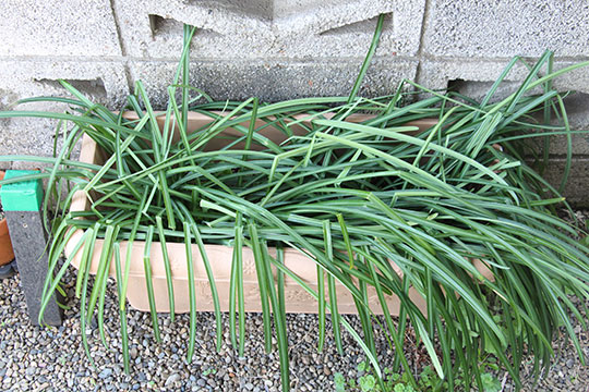 f:id:takahikonojima:20190317153515j:plain