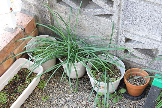 f:id:takahikonojima:20190317154647j:plain