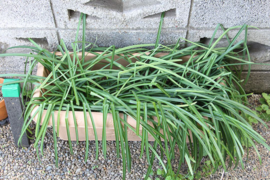 f:id:takahikonojima:20190317154653j:plain