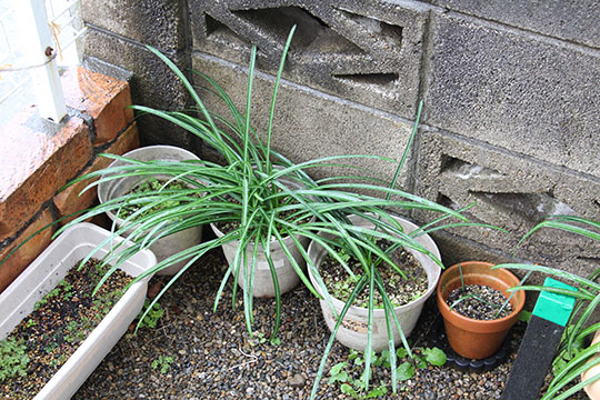 f:id:takahikonojima:20190317154700j:plain