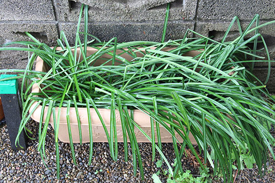 f:id:takahikonojima:20190317154706j:plain