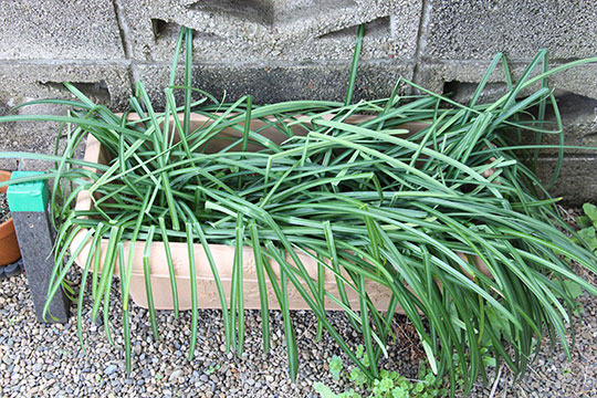 f:id:takahikonojima:20190317154718j:plain