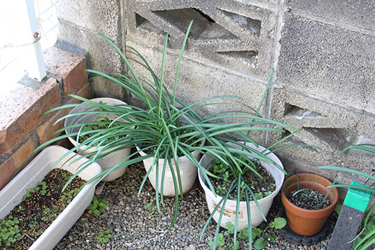 f:id:takahikonojima:20190317154728j:plain