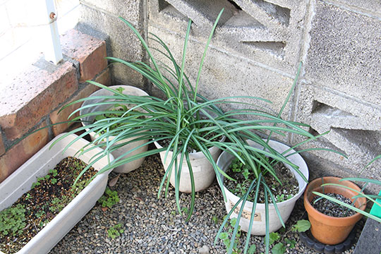 f:id:takahikonojima:20190317154742j:plain