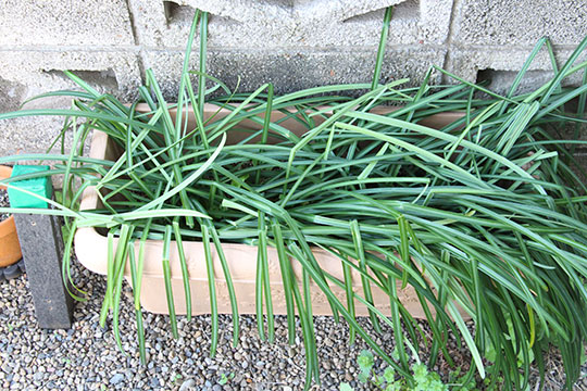 f:id:takahikonojima:20190317154749j:plain