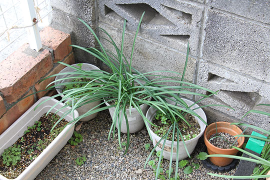 f:id:takahikonojima:20190317154801j:plain