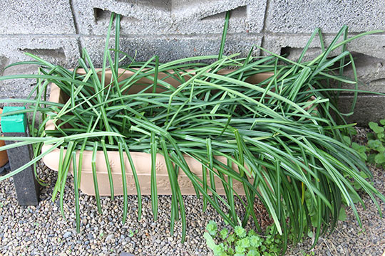 f:id:takahikonojima:20190317154807j:plain