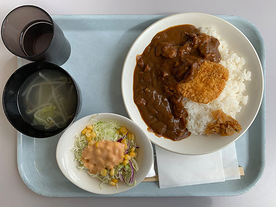 f:id:takahikonojima:20190321105028j:plain