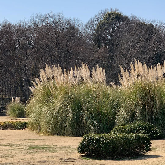 f:id:takahikonojima:20190321105100j:plain