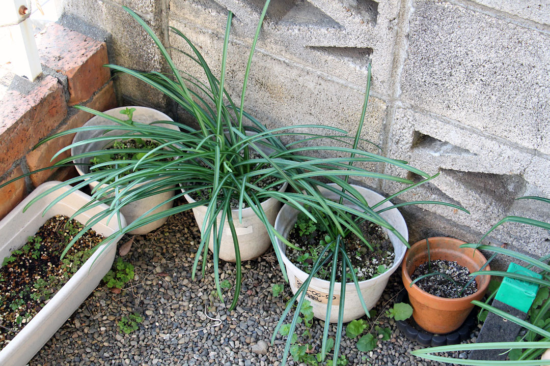 f:id:takahikonojima:20190323083648j:plain