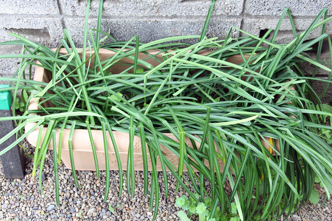 f:id:takahikonojima:20190323083753j:plain