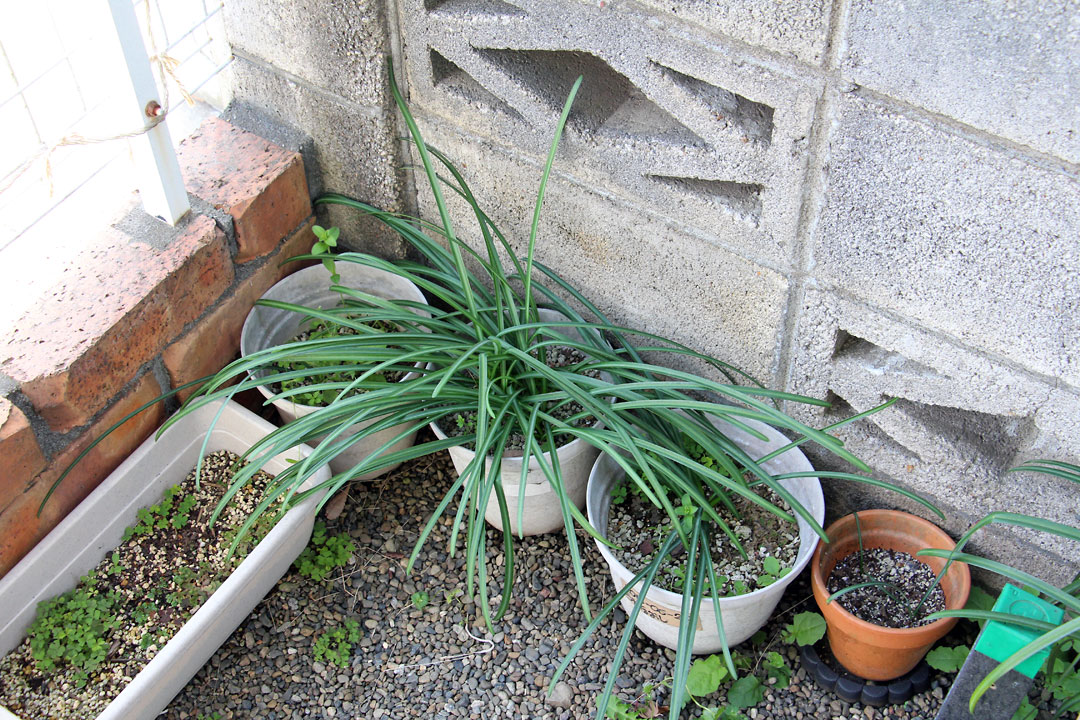 f:id:takahikonojima:20190323083759j:plain