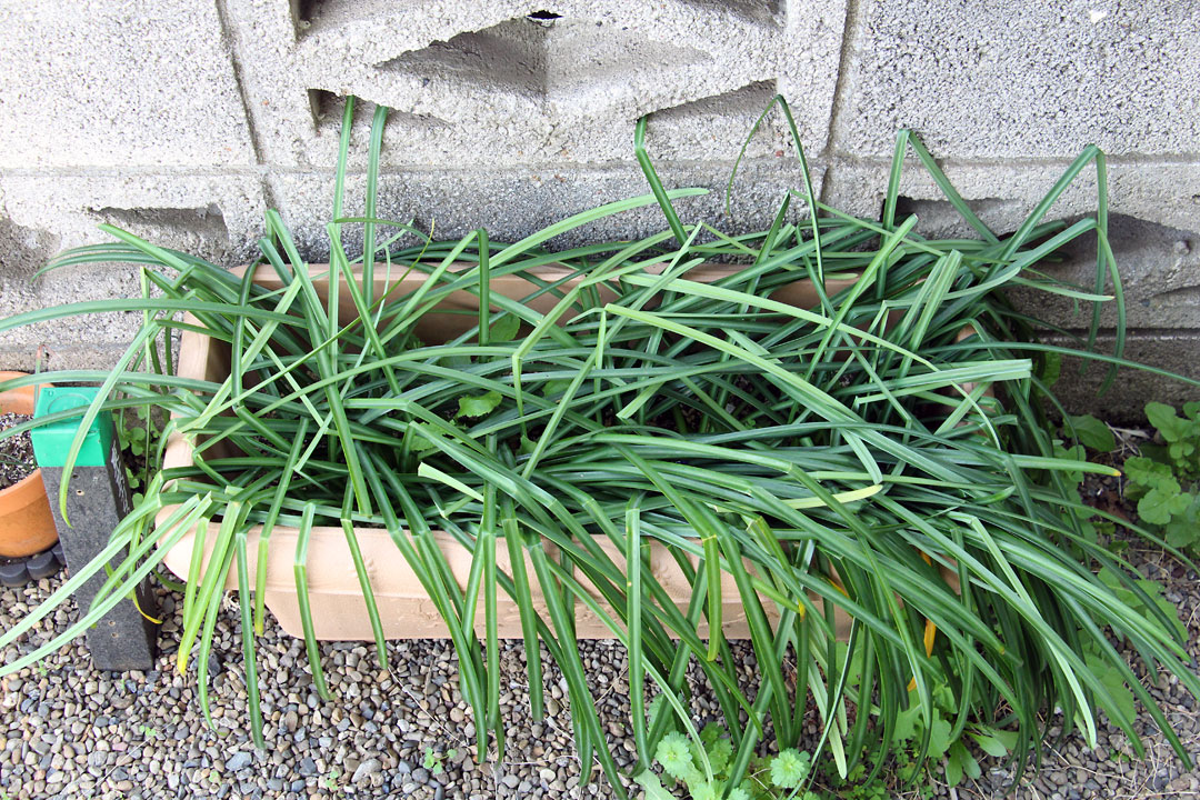 f:id:takahikonojima:20190323083806j:plain