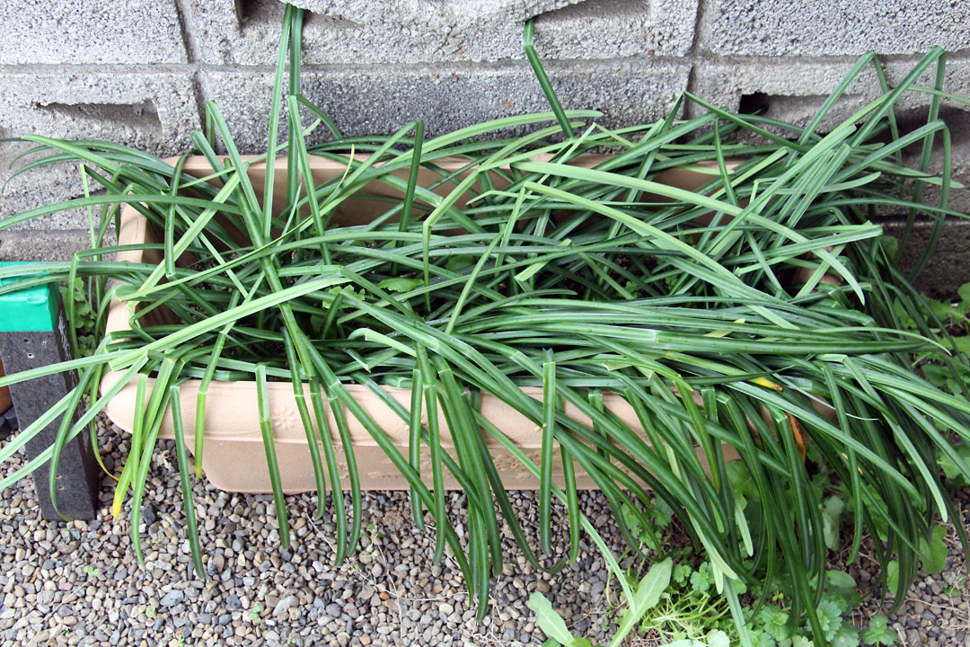 f:id:takahikonojima:20190323083818j:plain