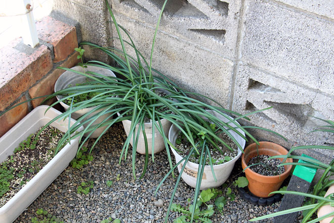 f:id:takahikonojima:20190330093737j:plain