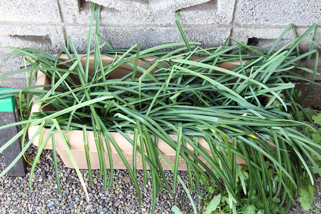 f:id:takahikonojima:20190330093742j:plain