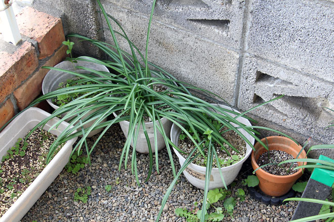 f:id:takahikonojima:20190330093756j:plain