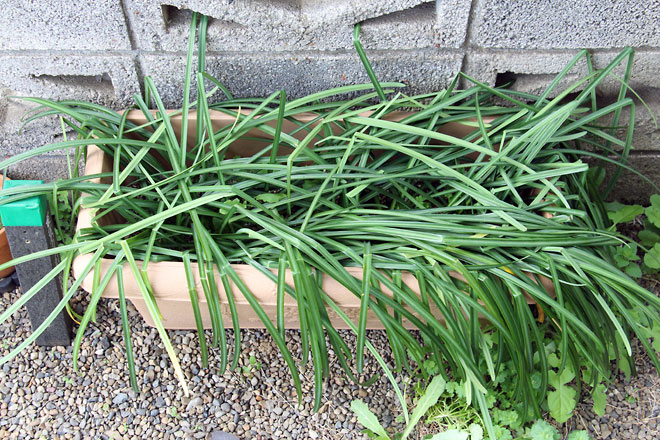 f:id:takahikonojima:20190330093803j:plain