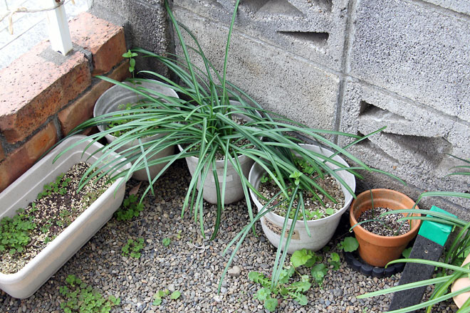 f:id:takahikonojima:20190330093809j:plain