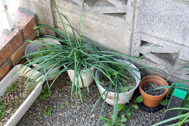 f:id:takahikonojima:20190330093822j:plain