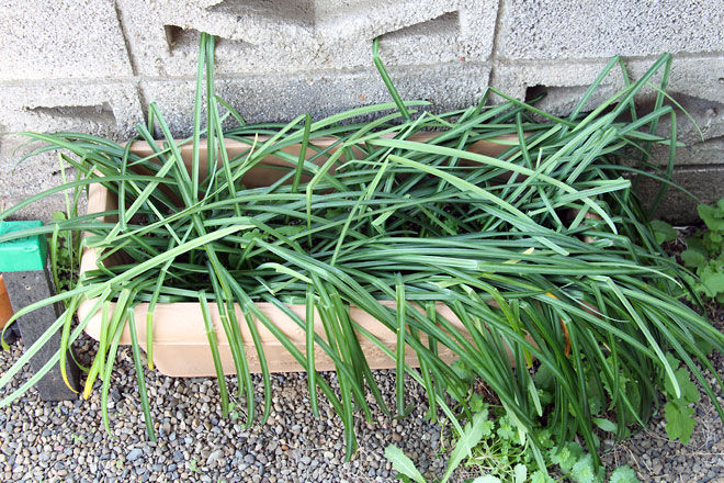 f:id:takahikonojima:20190330093828j:plain