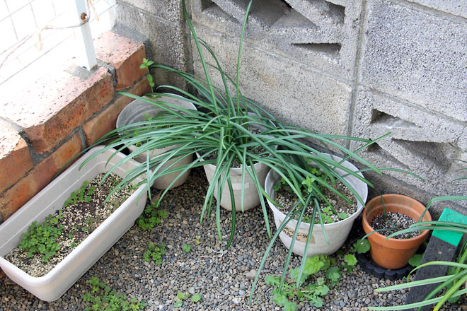 f:id:takahikonojima:20190330093834j:plain