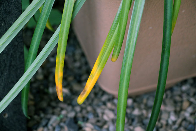 f:id:takahikonojima:20190330093848j:plain